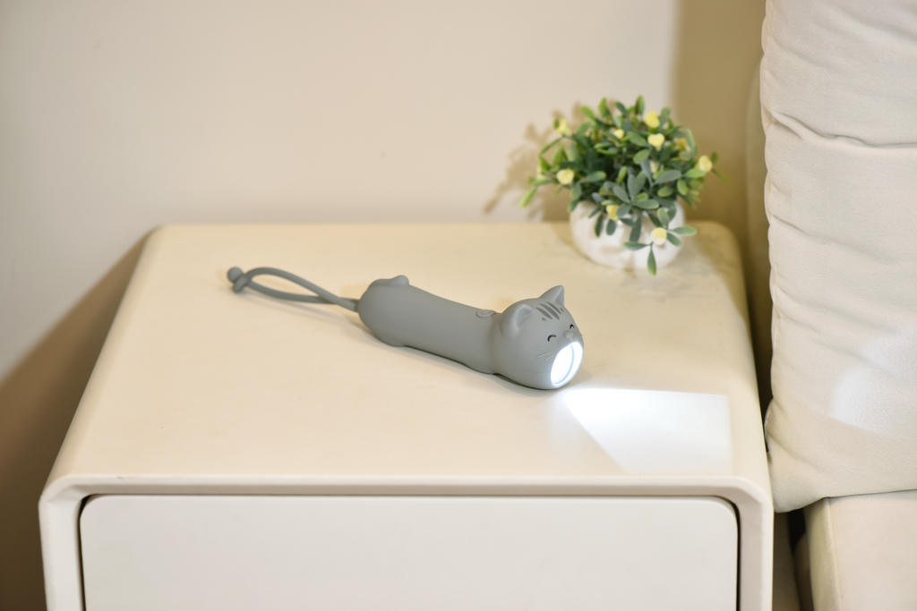Lampe torche chat 18578