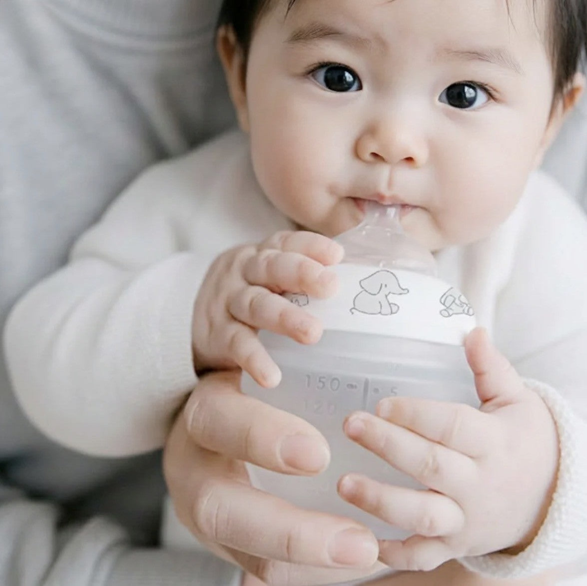 Biberon éléphant 330ml