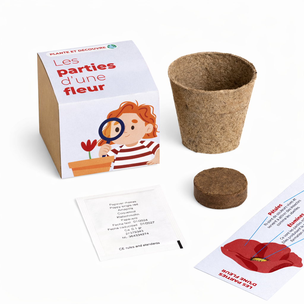 Kit de plantation LES PARTIES D’UNE FLEUR