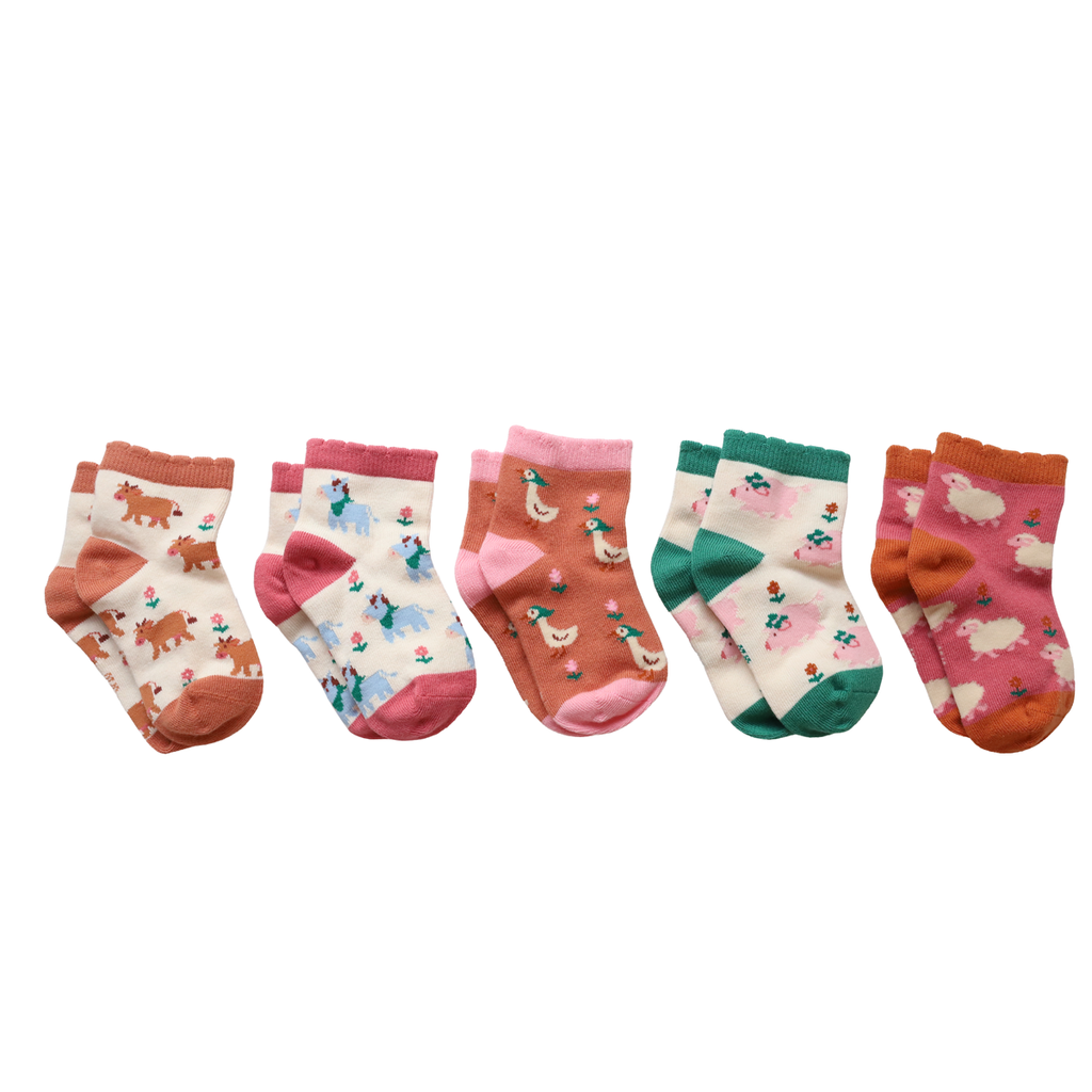 Coffret 5 paires de chaussettes 0-9 mois