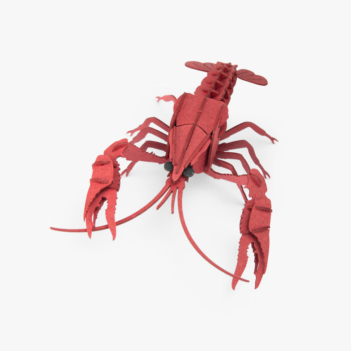 Puzzle 3D écrevisse