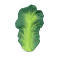 Anneau de dentition Salade