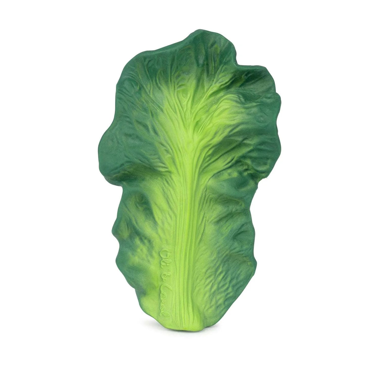 Anneau de dentition Salade
