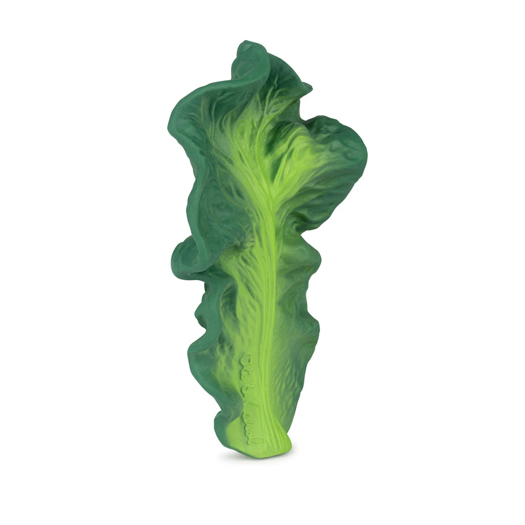 Anneau de dentition Salade