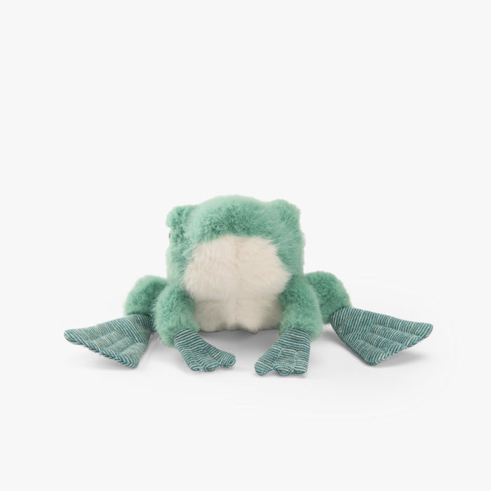 Peluche Grenouille