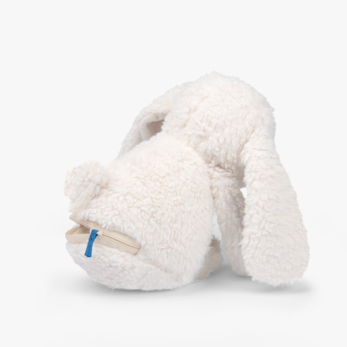 Lapin lumineux