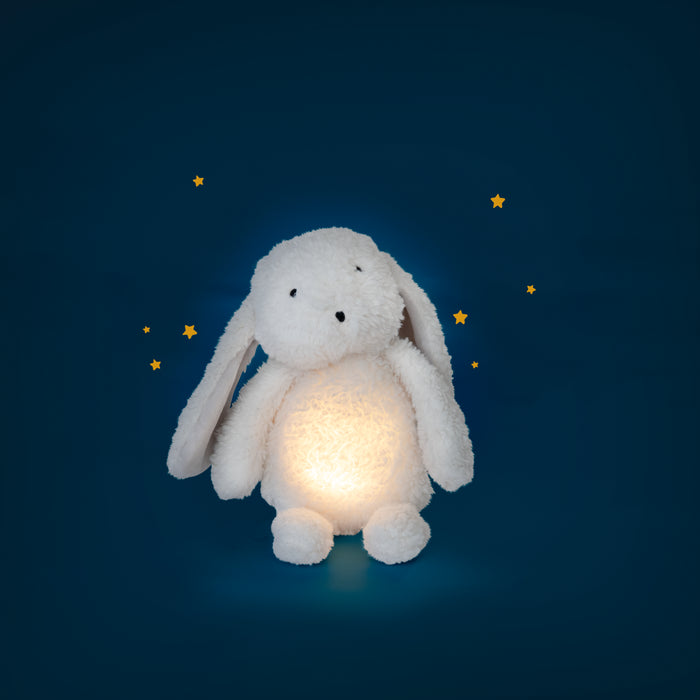 Lapin lumineux