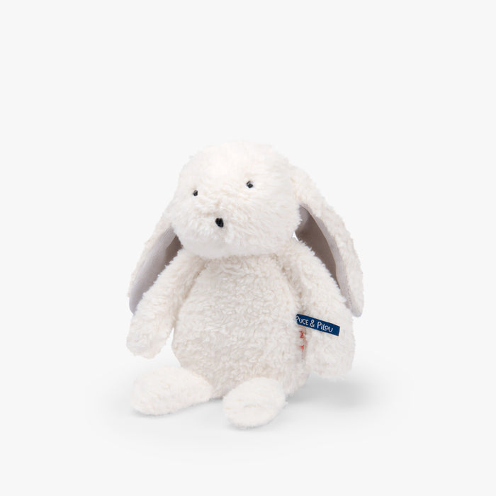 Lapin lumineux