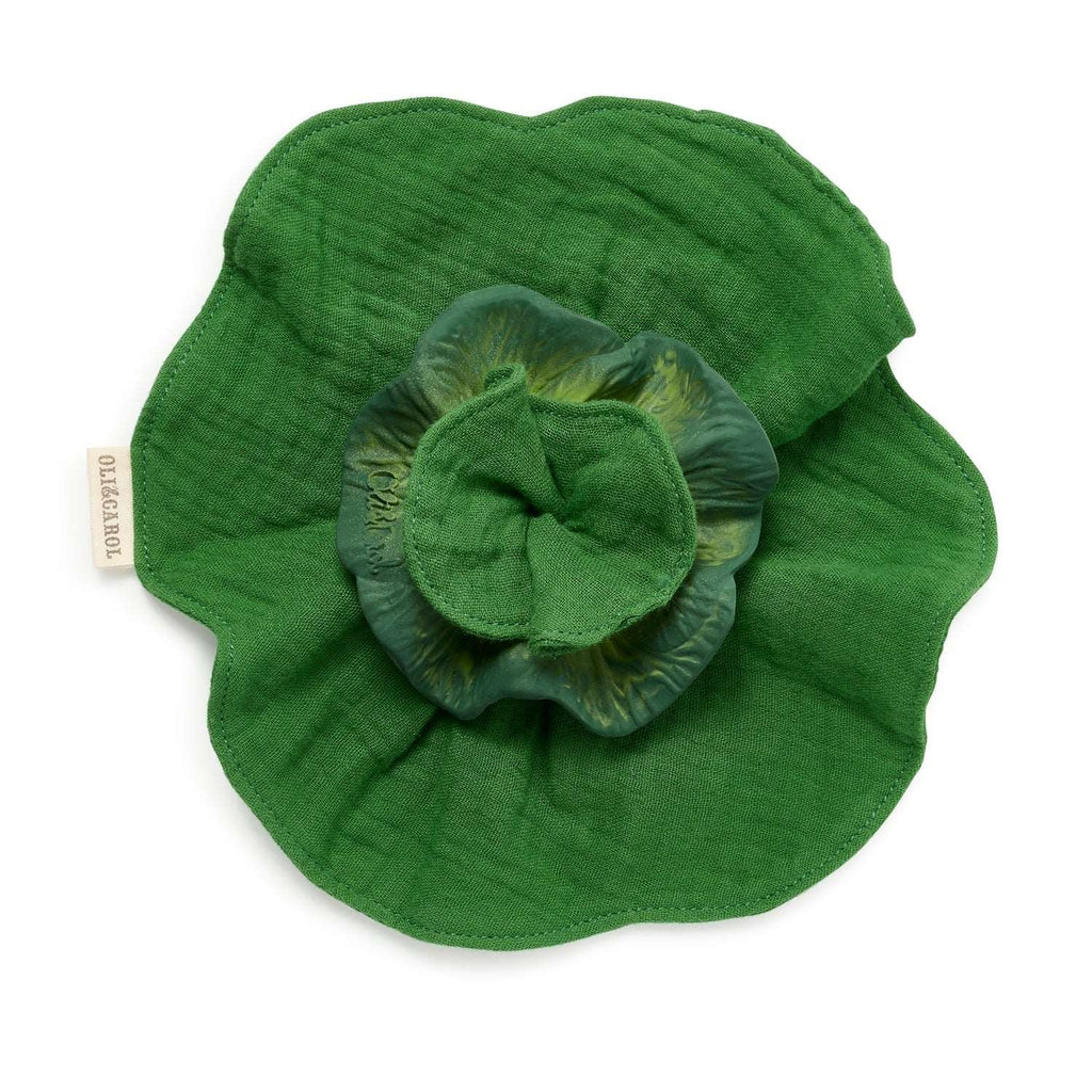 Anneau dentaire salade