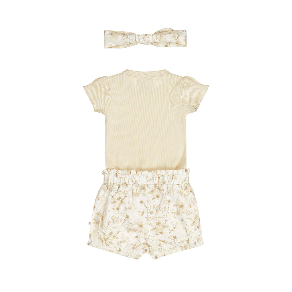 Ensemble 58341