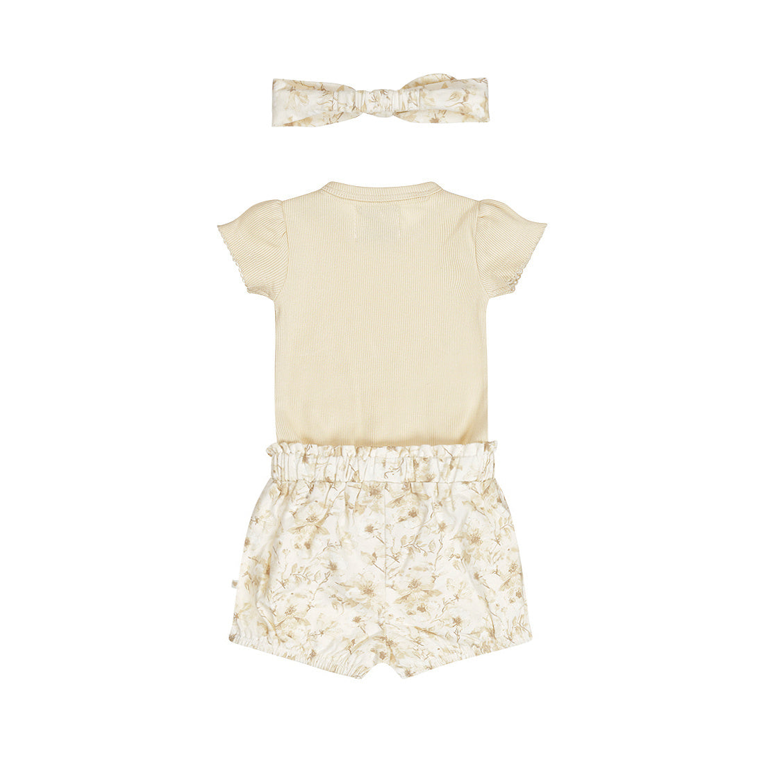 Ensemble 58341