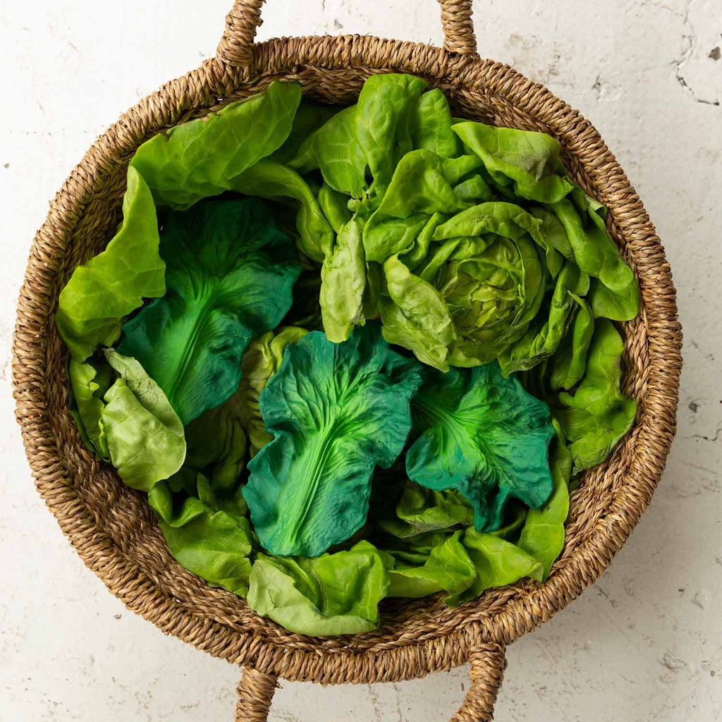 Anneau de dentition Salade