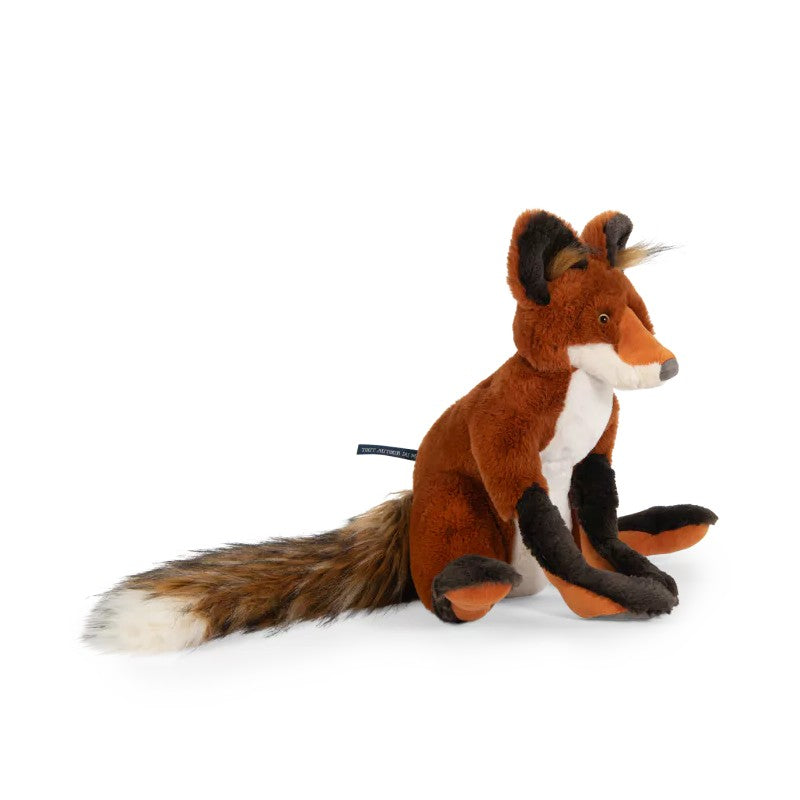 Renard